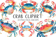 Watercolor Crab Clipart, an Illustration by Libby Wishes (Thumbnail 1 of 7)