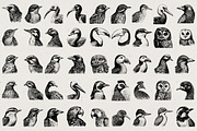 260 Birds Illustrations, an Animal Illustration by Nocturnal Wolf (Thumbnail 2 of 13)