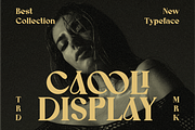 Caooli - Elegant Serif Font, a Serif Font by MaikoHatta (Thumbnail 4 of 8)