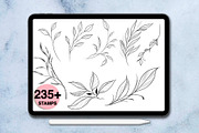 235 leaves procreate stamps, a Brush Add-On by Arts For Peace (Thumbnail 4 of 10)