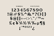 Nophine, a Serif Font by Mantype Studio (Thumbnail 7 of 14)