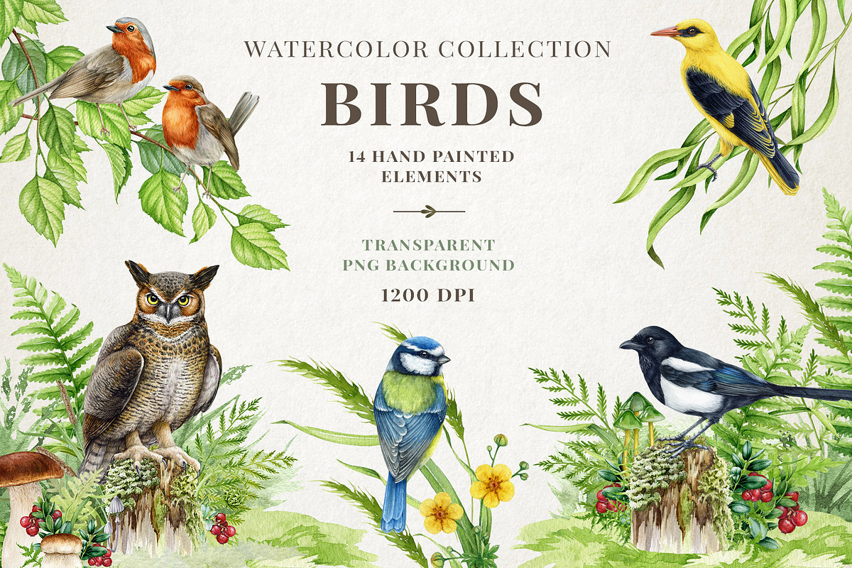 Woodland Animals Watercolor Clipart, an Animal Illustration by AnitaPol (Photo 4 of 17)
