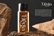 Achieve Fabrics Modern Serif, a Serif Font by timelesstype.co (Thumbnail 11 of 20)