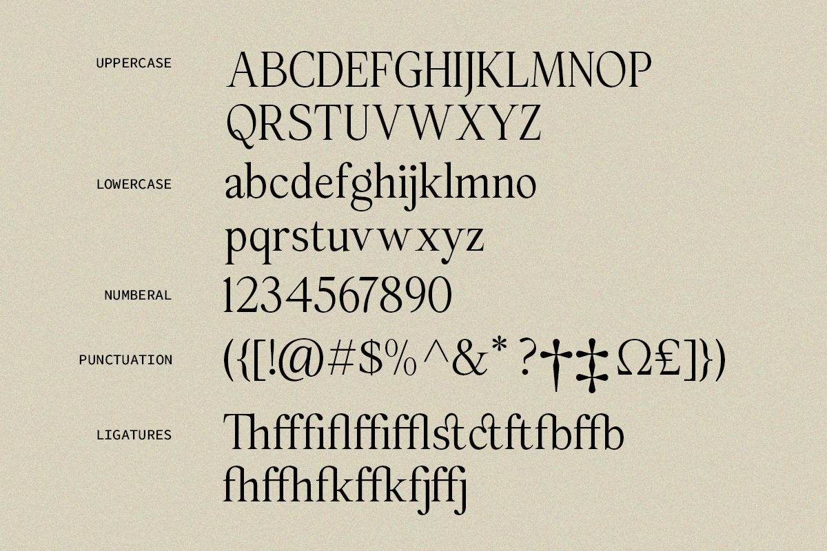 The Rosemide Serif, a Serif Font by Skinny Type (Photo 12 of 13)