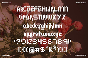 Eluney - Modern Blackletter Font