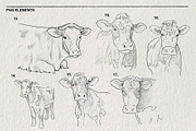 Sketch of a cow PNG, an Animal Illustration by LOKSKIH (Thumbnail 6 of 7)