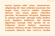 Bellavore, a Serif Font by Muksal Creative (Thumbnail 8 of 10)