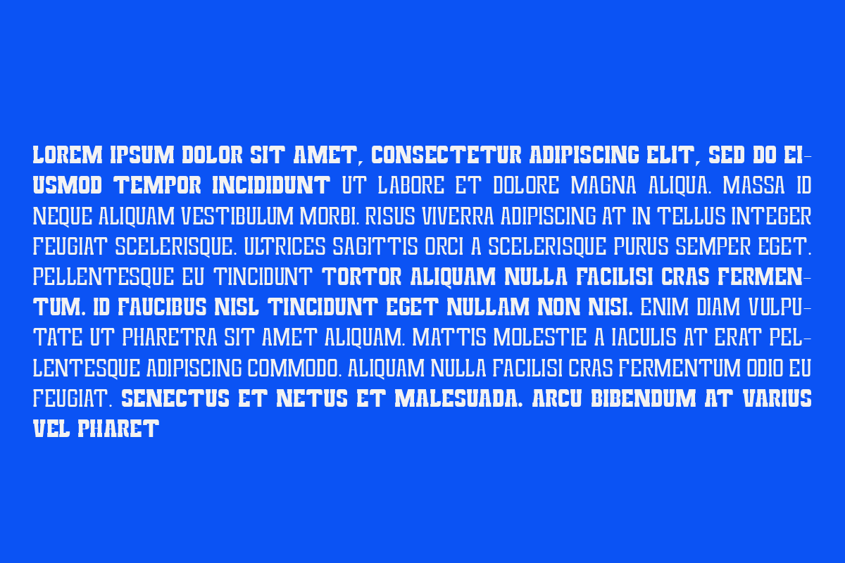 Magefin, a Serif Font by Muksal Creative (Photo 5 of 9)