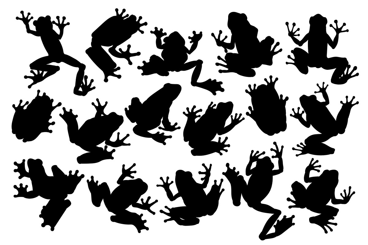 Tree frogs brushes for Procreate, a Brush Add-On by ViktoriArt (Photo 3 of 6)