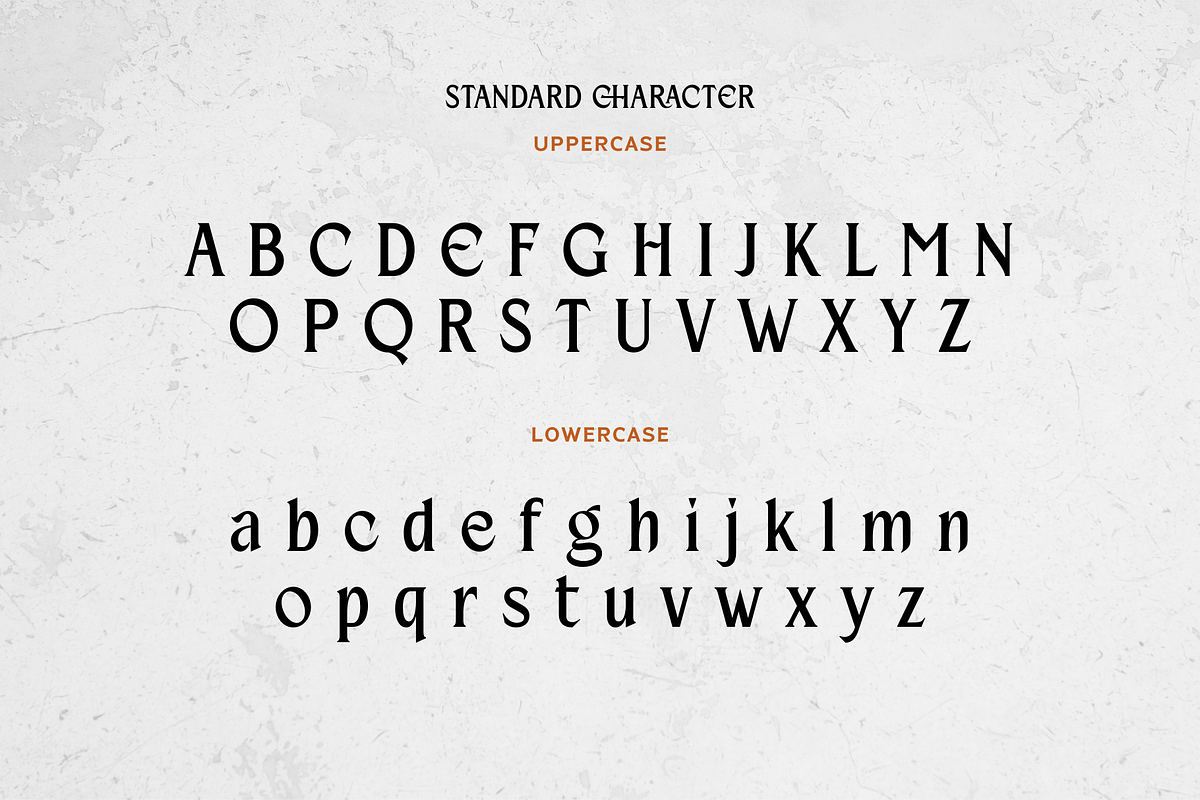 Beiruth - Serif Font, a Serif Font by Sronstudio (Photo 14 of 16)