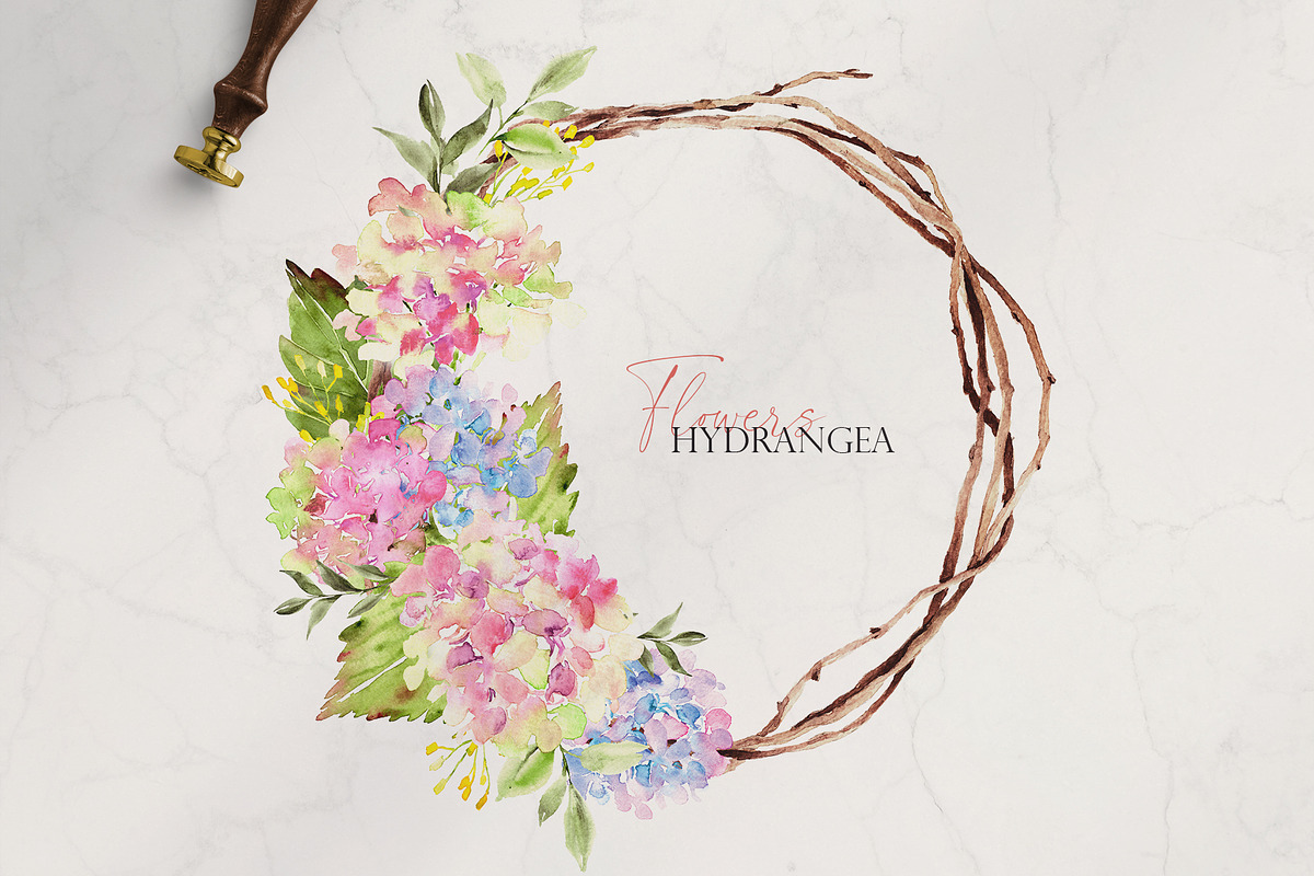 Watercolor flower - Hydrangea, an Illustration by Beigetime (Photo 8 of 9)