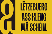 Moldin - Condensed Sans Serif Font, a Sans Serif Font by Zarma Type (Thumbnail 6 of 12)