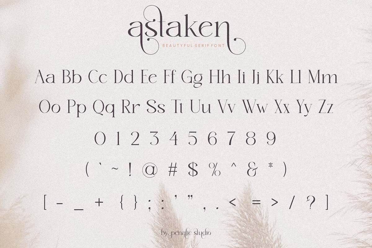 Astaken _ Beautyful serif font, a Serif Font by Penatic Studio (Photo 9 of 11)