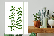 Shothery Mistoph Modern Handwritten, a Script Font by stylishtype.co (Thumbnail 12 of 20)
