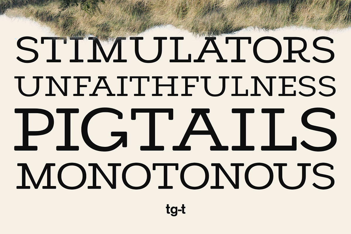 Cendrich - Slab Serif Font, a Slab Serif Font by Tiga Type (Photo 5 of 10)