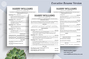 ATS Friendly Resume Design Bundle, a Resume Template by The Art of Resume (Thumbnail 5 of 8)