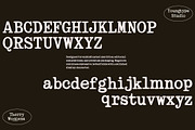 Therry Woggens - Handwritten, a Handwritten Font by Youngtype.Std (Thumbnail 10 of 15)
