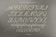 Petalia Decorative Floral Font, a Script Font by AnMark (Thumbnail 3 of 11)