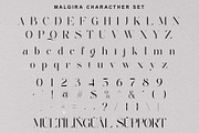 Malgira Modern Ligature Serif, a Serif Font by Alfinart (Thumbnail 8 of 9)