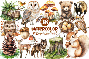 Vintage Woodland Watercolor Clipart, an Illustration by Dream Creation