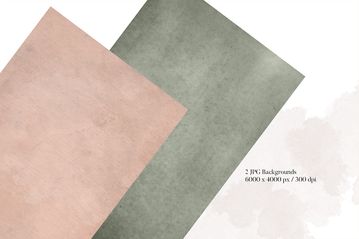 Isolated real flowers clipart set, an Object Graphic by The Graphic Parade (Photo 8 of 14)