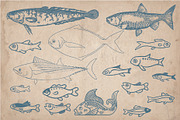 58 Vintage Hand Drawn Fish, a Food Illustration by Mr Vintage (Thumbnail 4 of 5)