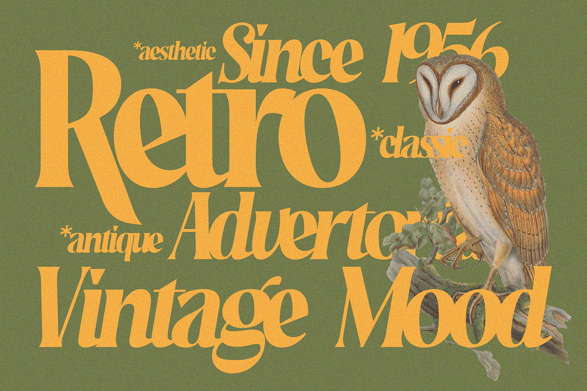 Rakizen Bisrony — Modern & Classic, a Serif Font by Enxyclo Studio (Photo 7 of 23)