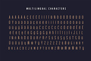 Edingu Sans Serif Font Family, a Sans Serif Font by Creativetacos (Thumbnail 5 of 14)