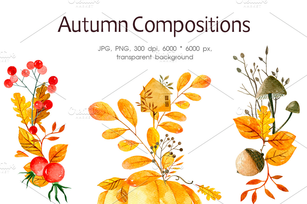 Autumn Collection, an Illustration by Ksenia Markevych (Photo 3 of 9)