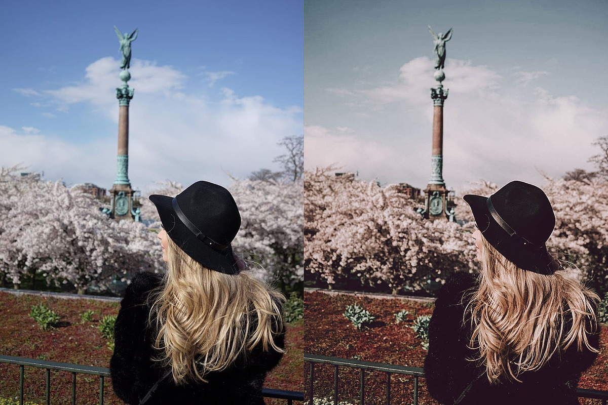 Desktop Lightroom Presets ROSE preview 5