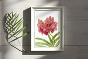 Botanical art watercolor and pencils, a Food Illustration by ViktoriArt (Thumbnail 10 of 16)