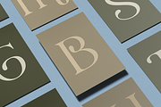 Bellarune Modern Elegant Serif Font, a Serif Font by Rasio Studio (Thumbnail 7 of 9)