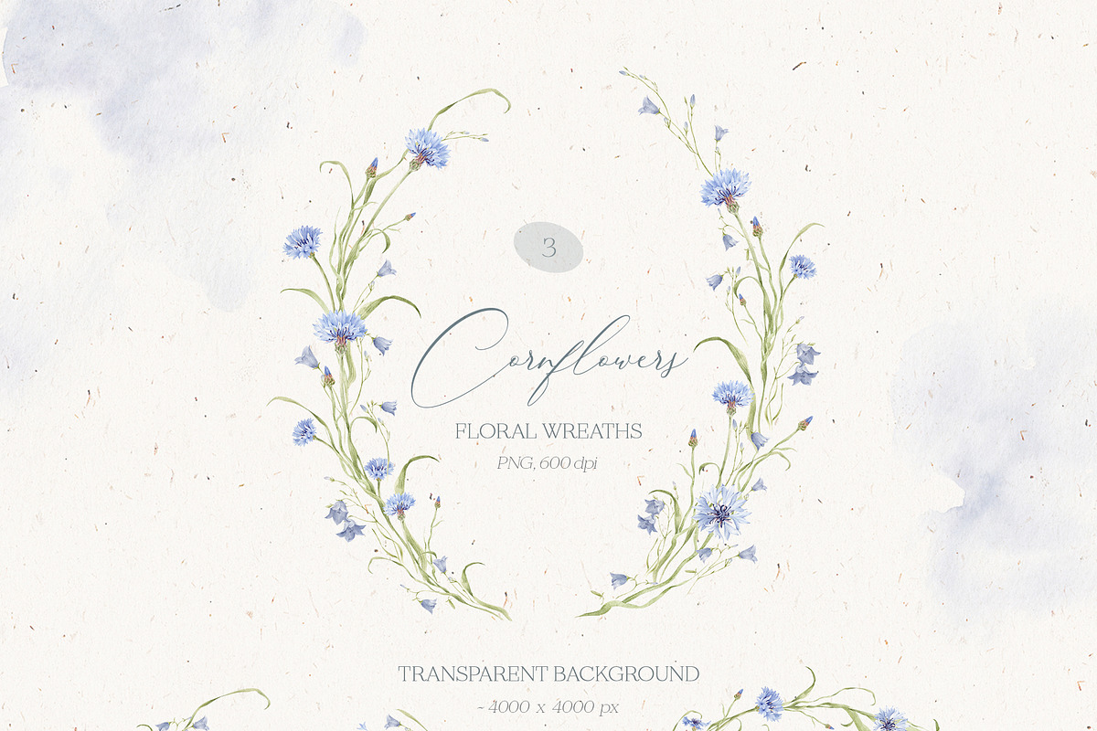 Watercolor Cornflowers, an Illustration by Nastya.Chay (Photo 8 of 10)