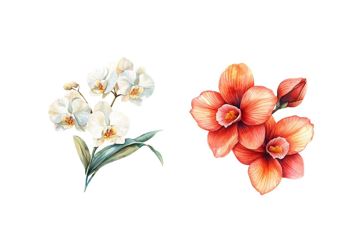 Delicate Orchid Flower Clipart, an Illustration by Daily.Designs (Photo 2 of 4)
