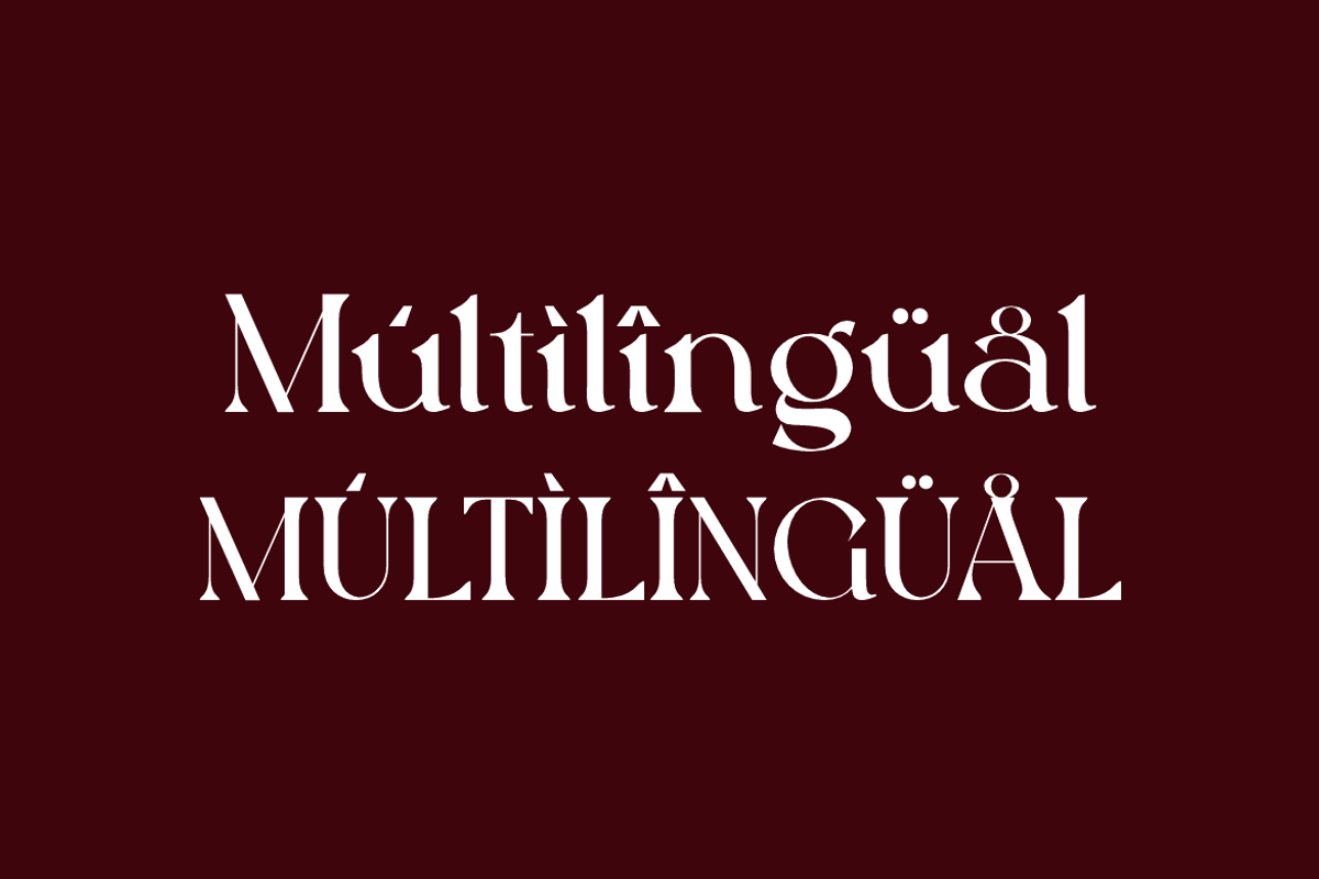 Luxtya Mewoth - Elegant Luxury Font, a Serif Font by Iqsiart Studio (Photo 8 of 17)