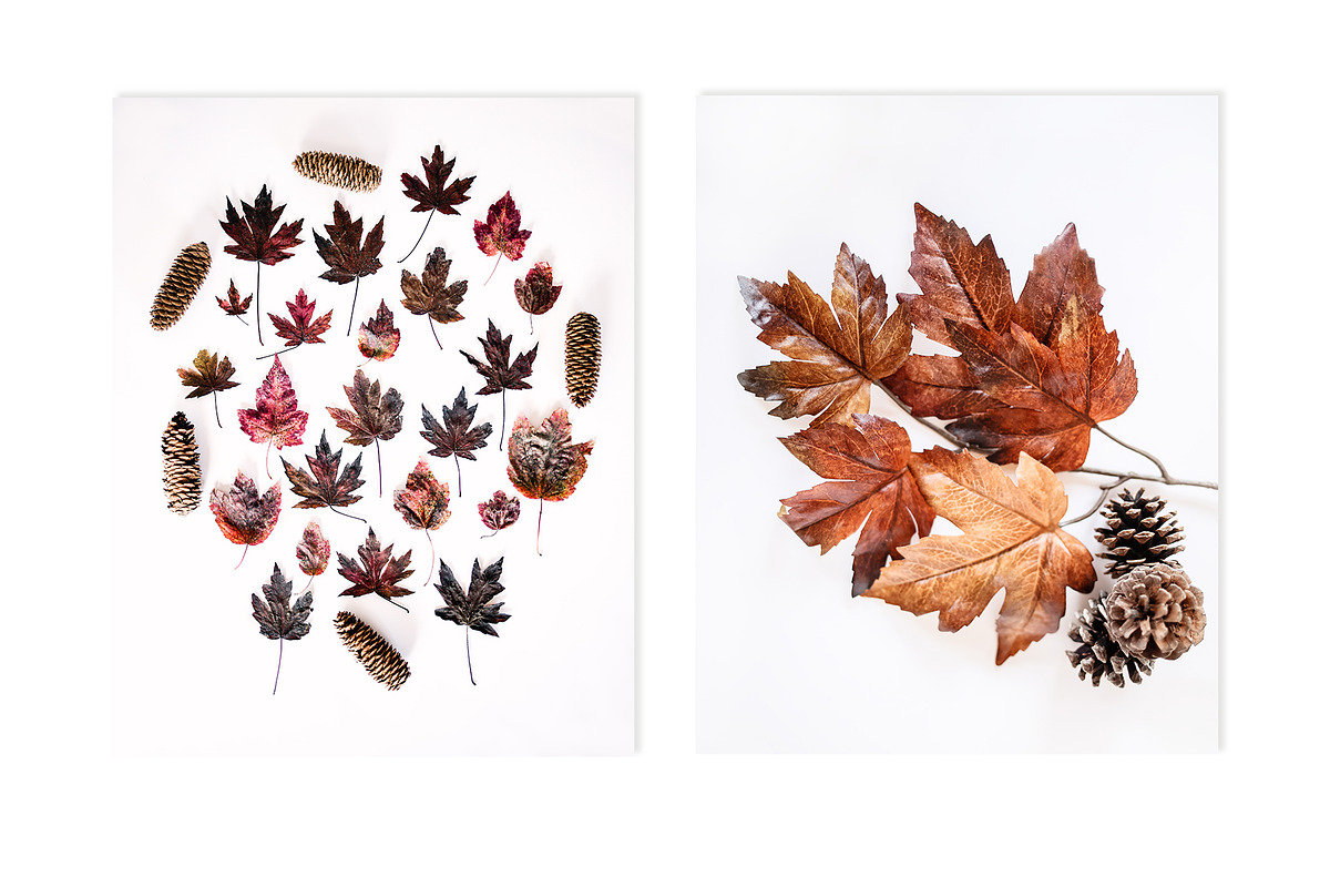Deep Fall Bundle - Stock Photos, a Print Template by SunnyTangerine Stock (Photo 4 of 12)