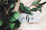 Beauty Youth. Lovely Script, a Script Font by CallMeStasia (Thumbnail 5 of 21)