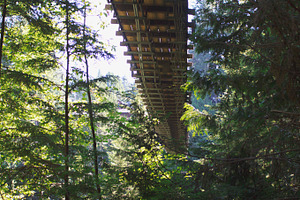 Suspension Bridge