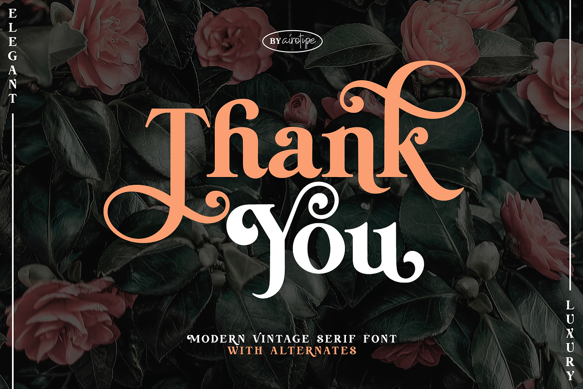 Delightful Napkin Modern Serif Font, a Serif Font by Airotype (Photo 15 of 15)