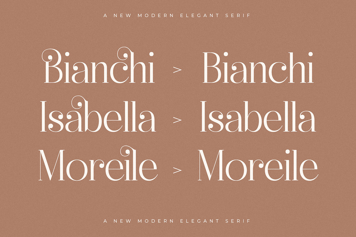 Heyanik New Modern Elegant Serif, a Serif Font by Storytype Studio (Photo 7 of 15)