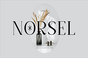 Norsel - Elegant Serif, a Serif Font by Cut Story (Thumbnail 1 of 14)