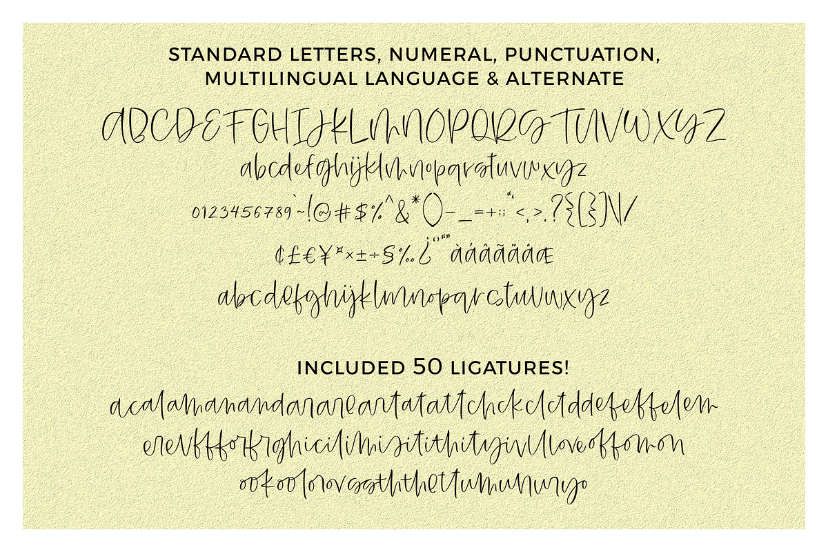 Plakias – Modern Calligraphy Fonts, a Script Font by RedyStudio (Photo 13 of 14)