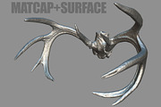 Deer Horns, an Animal 3D Model by Beatheart Creative Studio (Thumbnail 9 of 17)