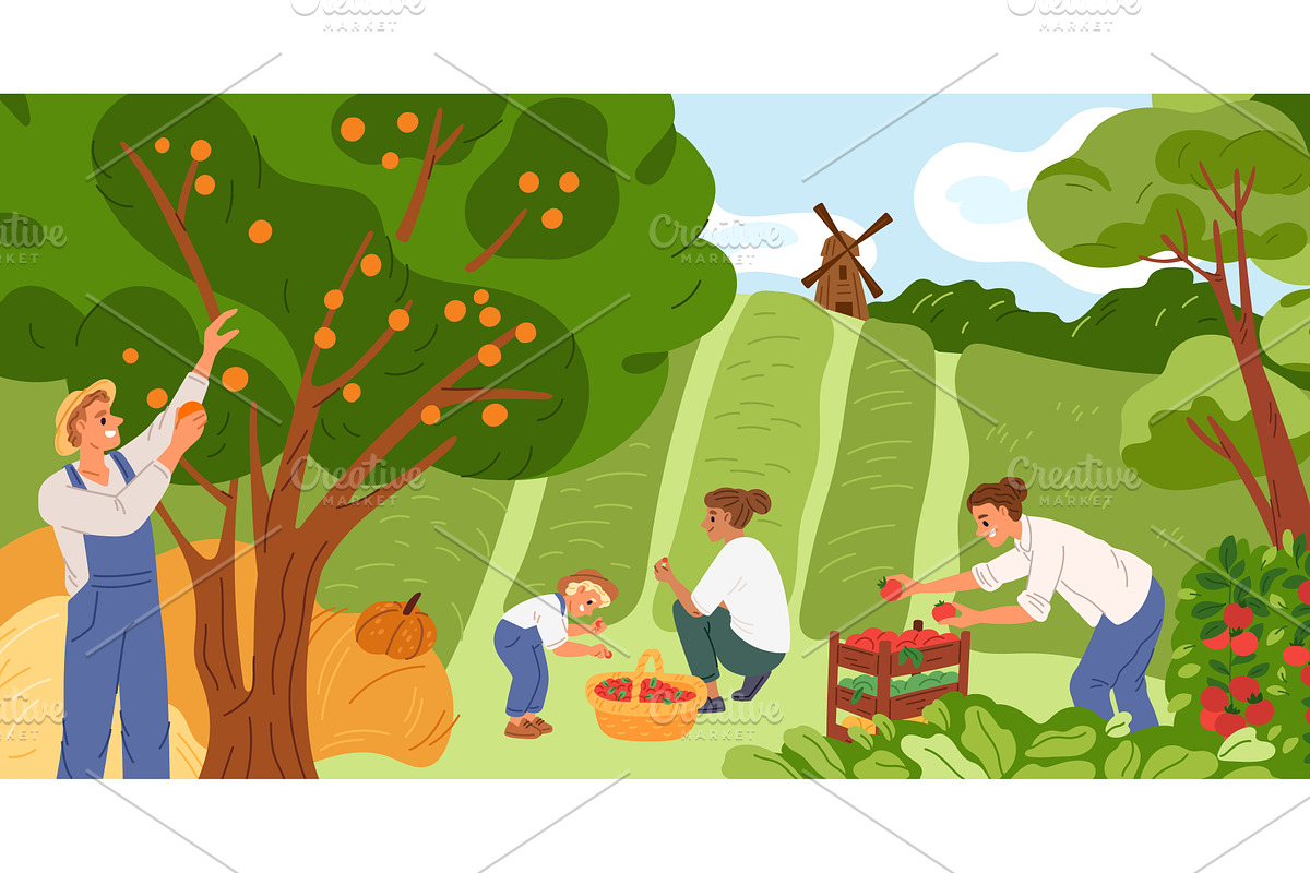 Farmers at harvest. Gardeners pluck, a Person Illustration by Vectorbuum
