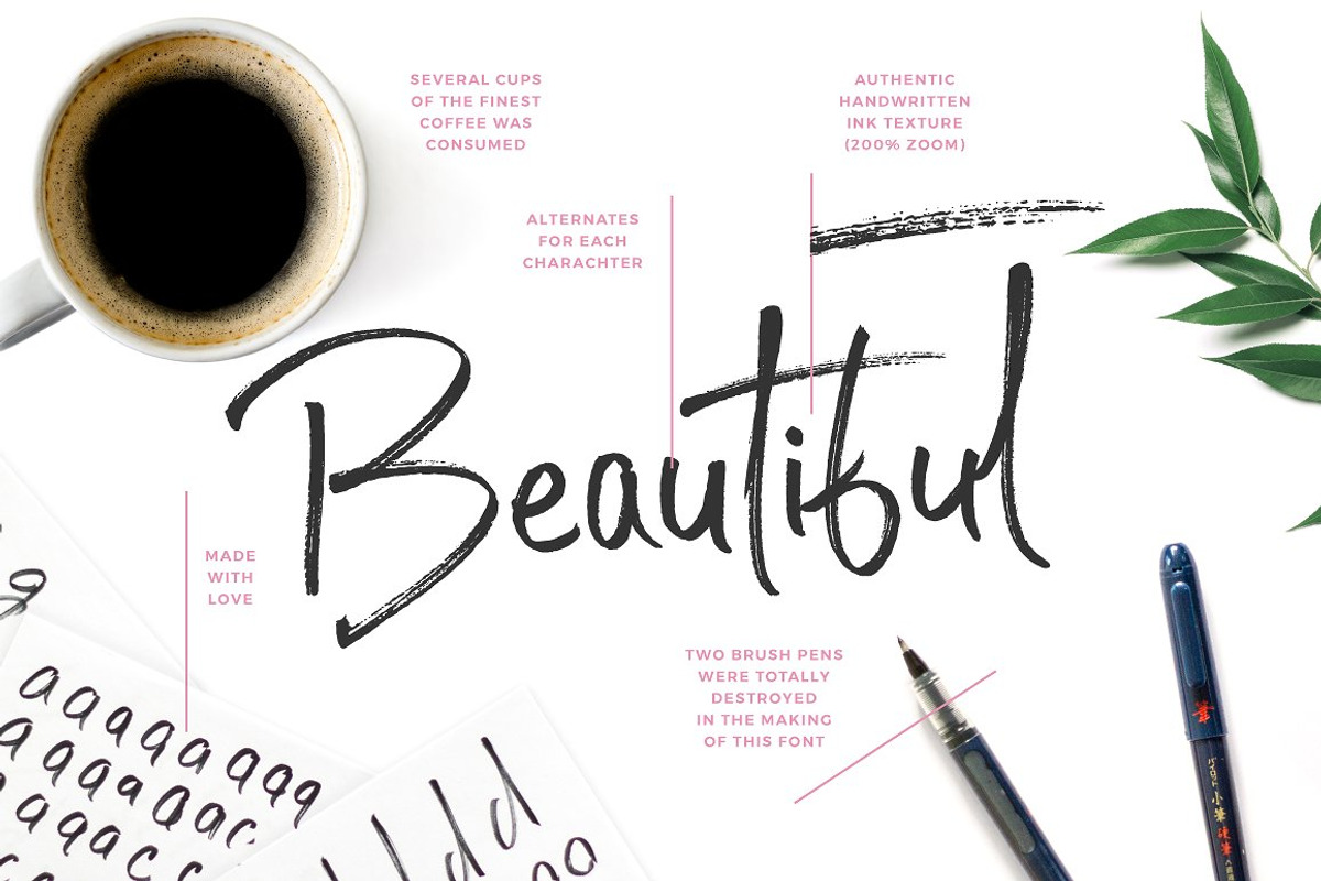 Typographer's Dream Box + 200 Logos, a Script Font by Mats-Peter Forss (Photo 78 of 130)