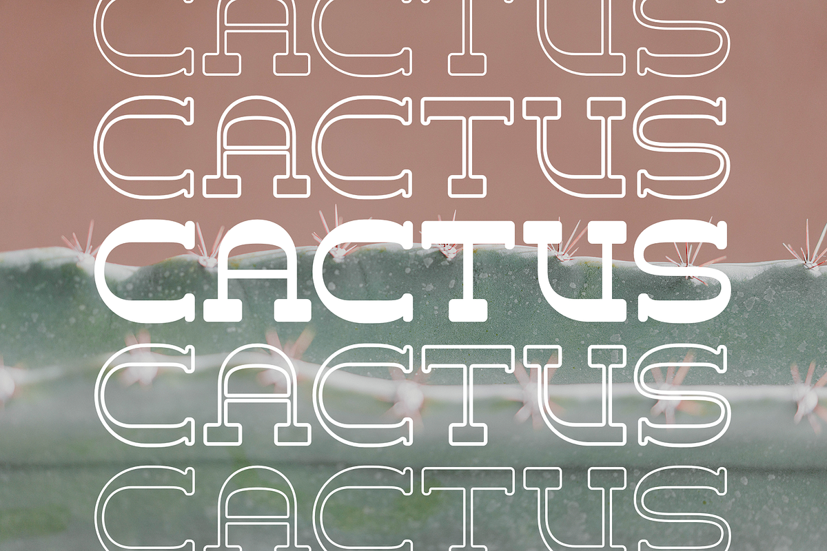 Harlon, a Slab Serif Font by Larin Type Co. (Photo 8 of 11)