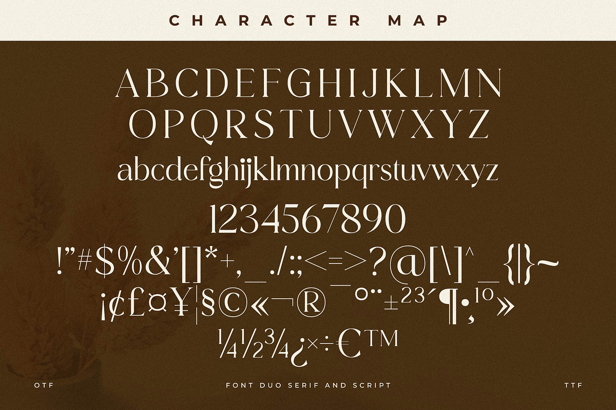 Primrose Essentials Font Duo, a Serif Font by Storytype Studio (Photo 13 of 15)