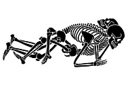 KAMASUTRA with skeletons, an Illustration by Tanya Akhmett (Thumbnail 5 of 14)
