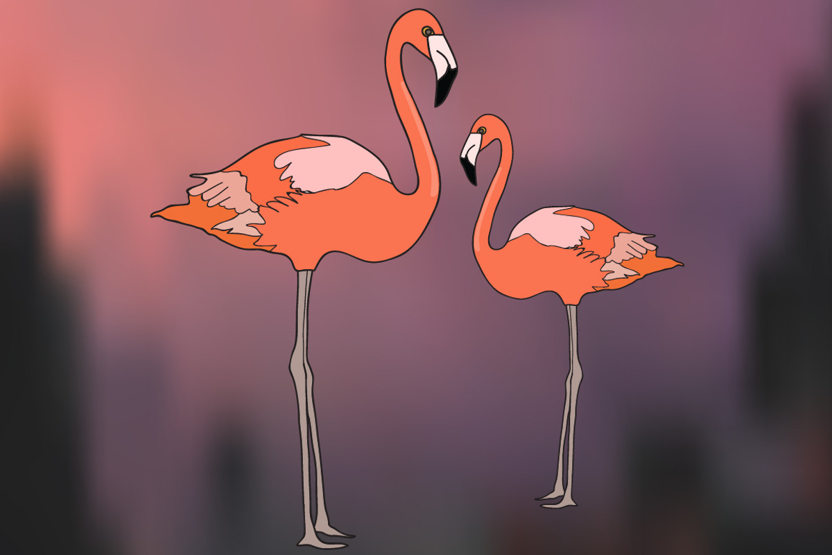 Vector set with flamingos, a Background Graphic by lycka (Photo 1 of 4)