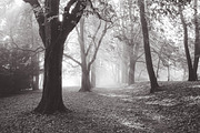 10 Matte B & W Landscape Drama, a Preset Add-On by Timeless Presets (Thumbnail 14 of 17)
